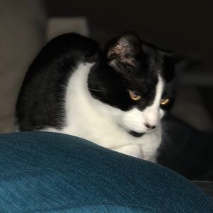 Meet your Posher, Jeffrey